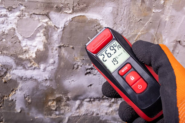 Howland Center, OH Mold Remediation Company